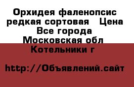 Орхидея фаленопсис редкая сортовая › Цена ­ 800 - Все города  »    . Московская обл.,Котельники г.